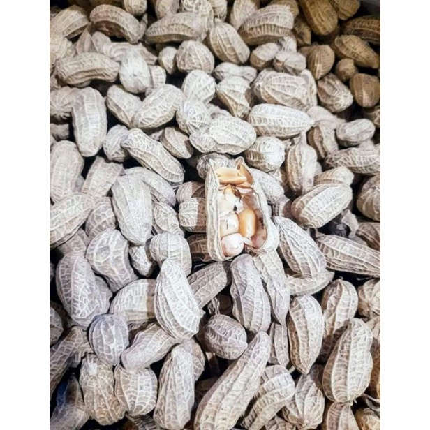 

KACANG SANGRAI BENDO MURAH