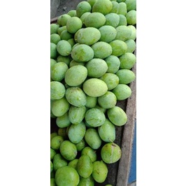 

PALING BAGUS Mangga Manalagi untuk harga 1kg (isi 3-4 biji) 869