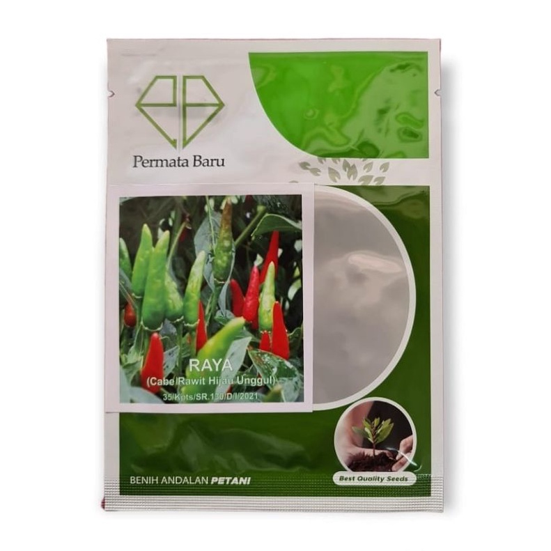 Benih Cabe Rawit Hijau RAYA | Bibit Cabe Rawit Hijau | Biji Cabe Rawit Hijau | Benih Sayuran