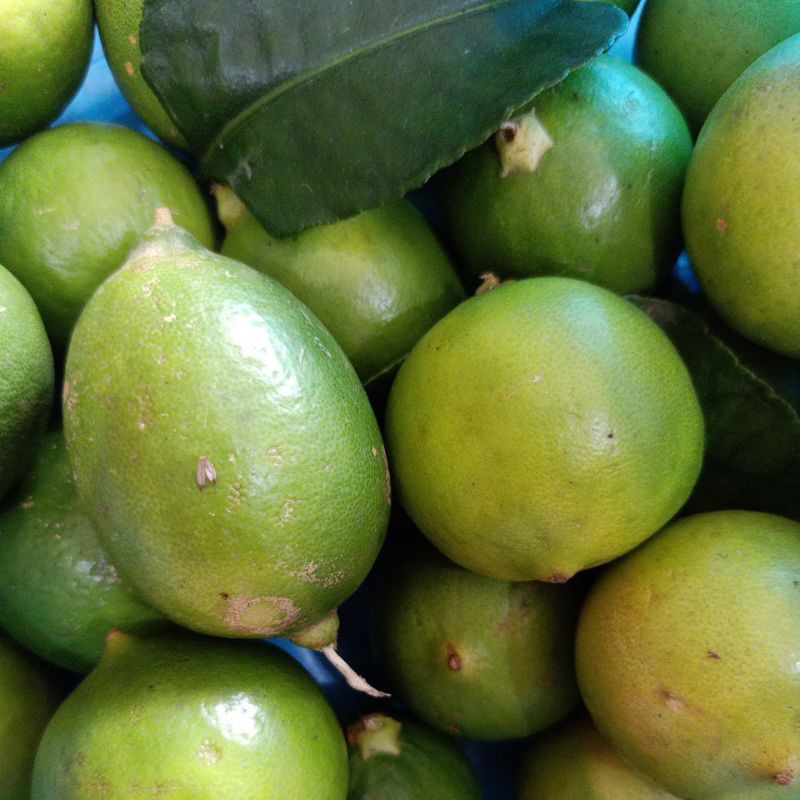 

Jeruk Nipis Lokal 100 gr