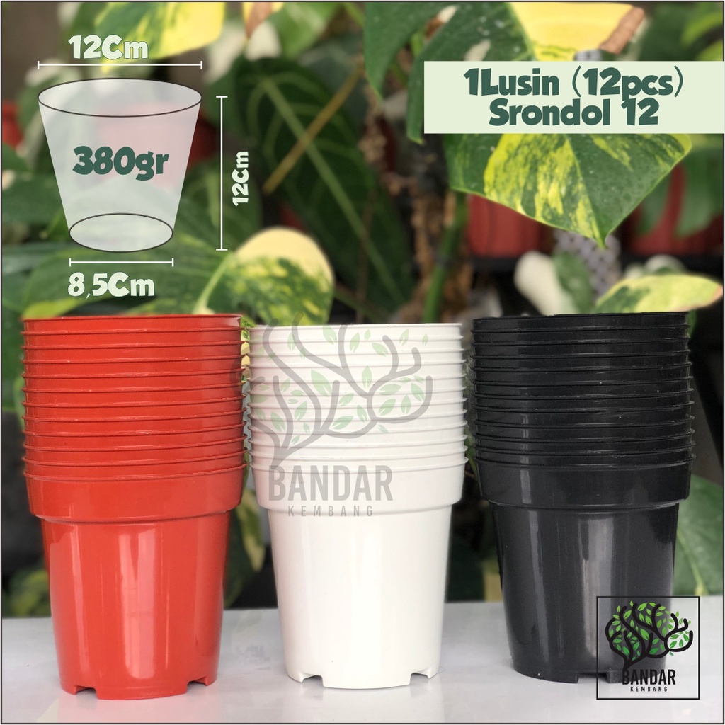1 Lusin Pot Srondol 12 Tinggi Pot Bunga Tinggi Tebal | Pot 12 | Pot Tanaman Bibit Bunga Hias