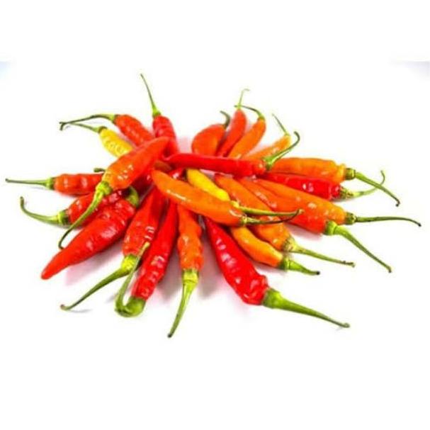 

ぅ Cabai Rawit Merah / Cabe Rawit Merah 250 gram パ