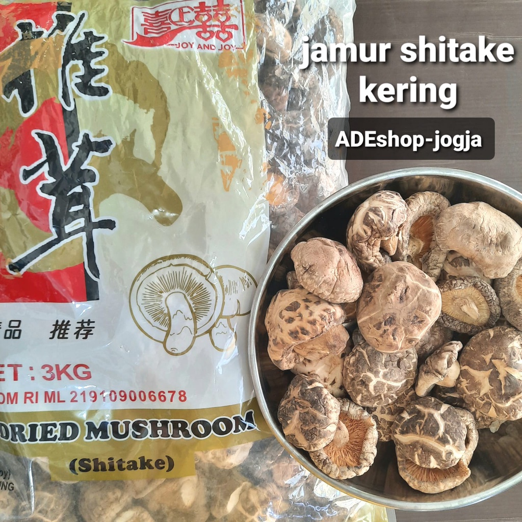 

jamur kering hyoko hioko shitake yoko dried mushroom siangku 50 gr payung import xiang gu