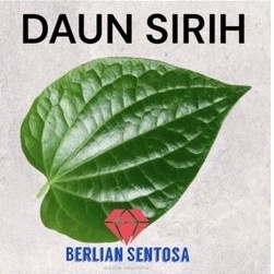 

Daun sirih Fresh 10pcs