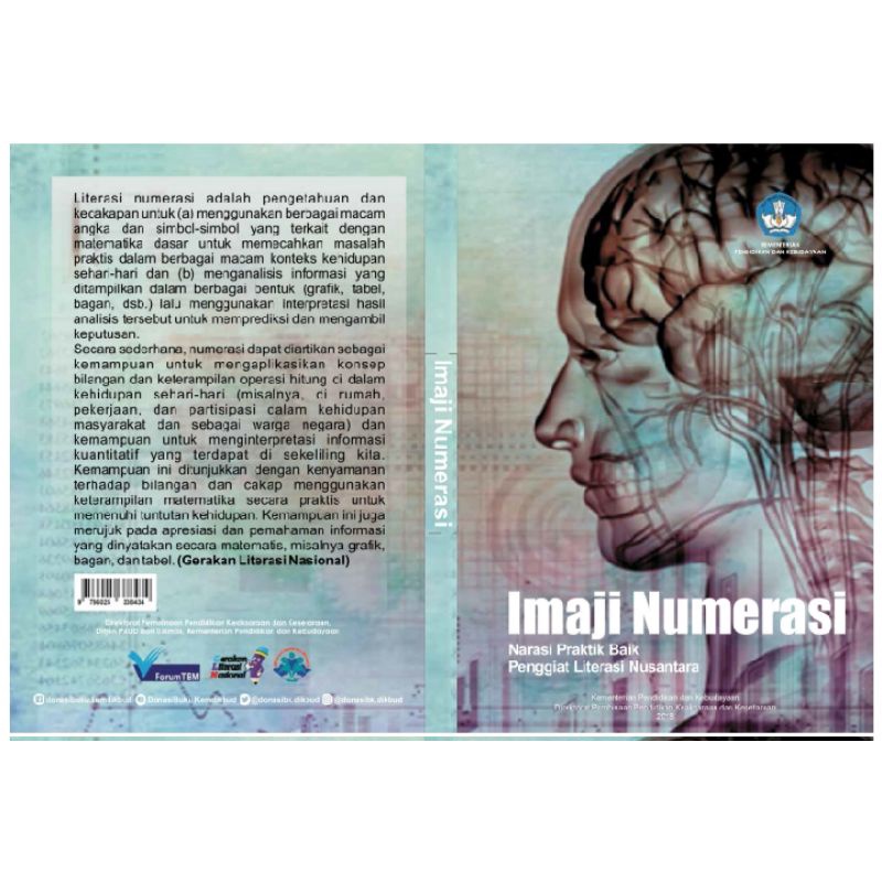 literasi numerasi
