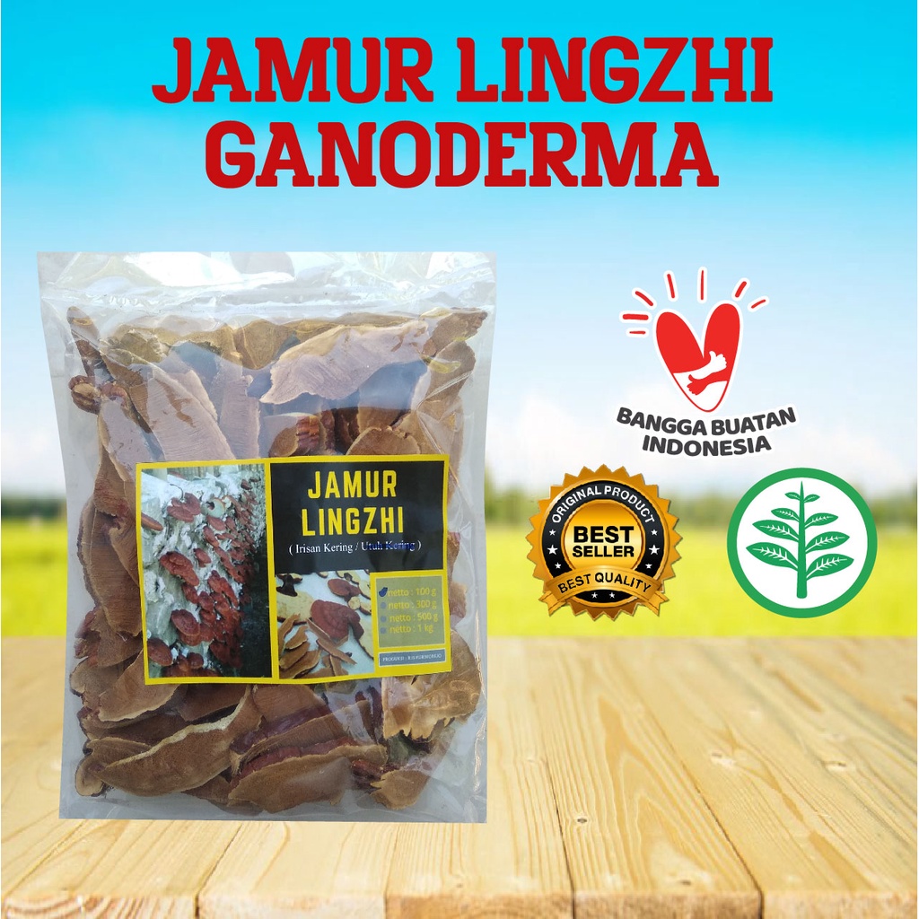 Jual Jamur Lingzhi Ling Zhi Ganoderma Kualitas Super 100gr Shopee