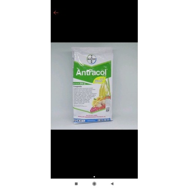 fungisida antracol