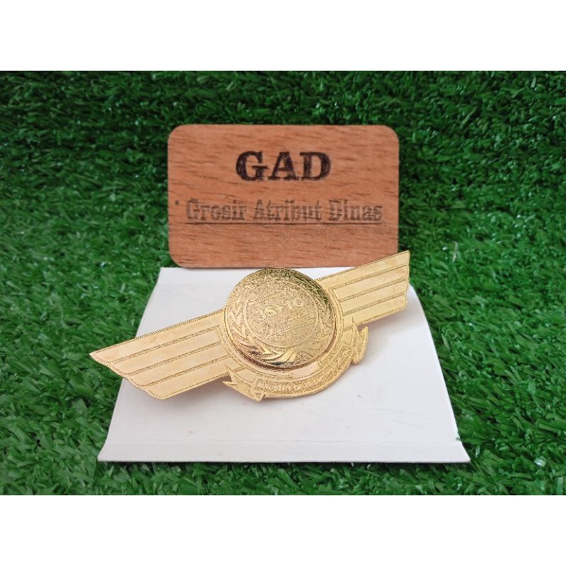 Wing DGCA Wing Dishub