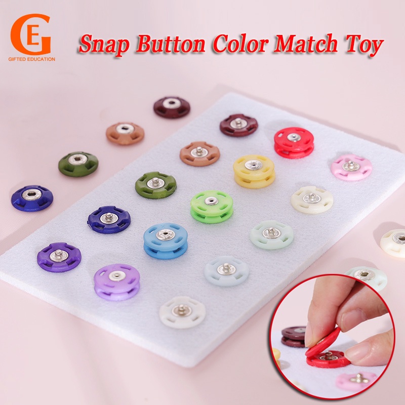 Montessori Snap Button Color Match Mainan Korek Mata Tangan Koordinasi Snap Fastener Halus Motor Game Mainan Edukasi Dini