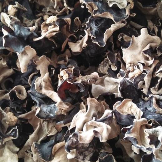 

ღ jamur kuping kering jamur hitam kering 100gr ㅫ