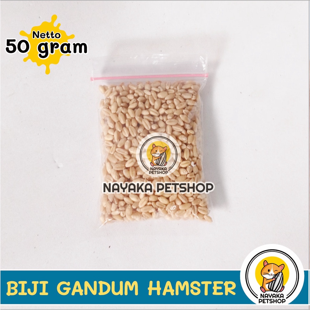 Snack Hamster Biji Gandum 50 gr Wheat Grass Cemilan Ekstra Food Hewan Pakan Camilan Makanan Wheatgrass