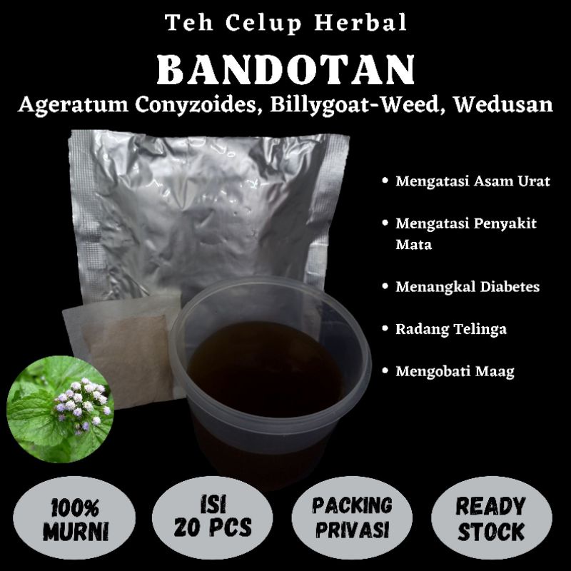 

Teh Celup Herbal BANDOTAN Wedusan Kista Kanker Tumor Anemia Radang