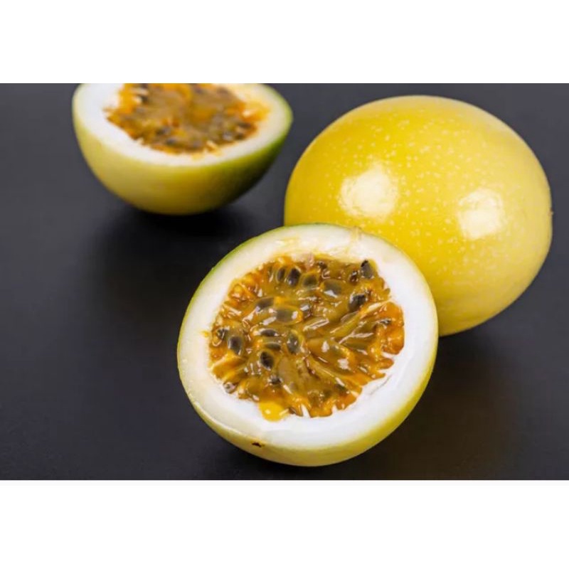 

BUAH MARKISA BUAH MARKISA SEGER BUAH MARKISA KUNING BUAH MARKISA MADU BUAH MARKISA 1 KG BUAH MARKISA MADU