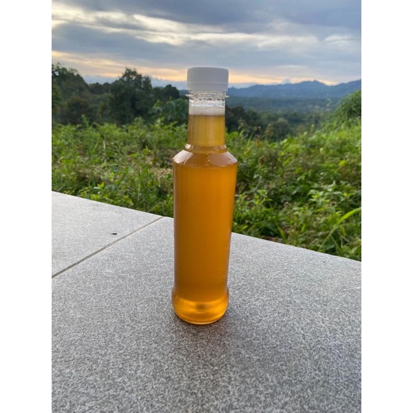 

madu hutan murni