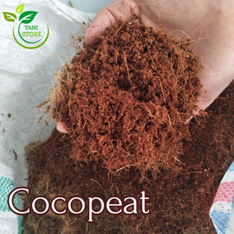 Cocopeat_Cocopeat kasar_media tanam_cangkok