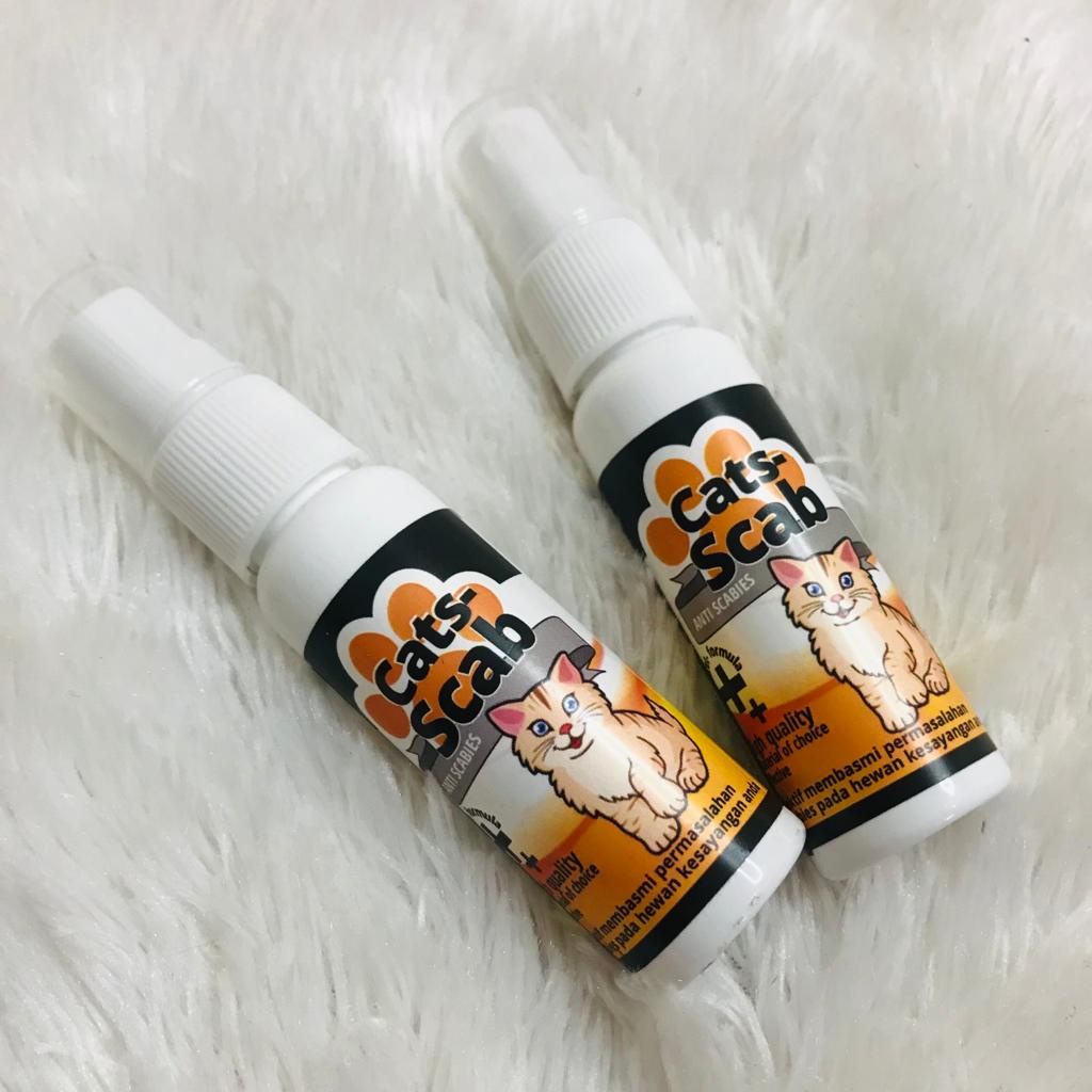 Cats Scab Obat Ati Jamur Kadas Scabies Infeksi Kucing