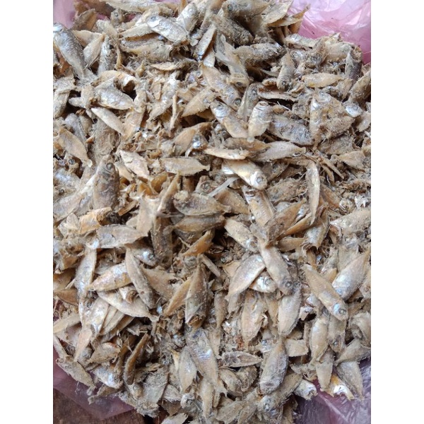 

tapis rebus/teri dangdut/semadar 500 gr