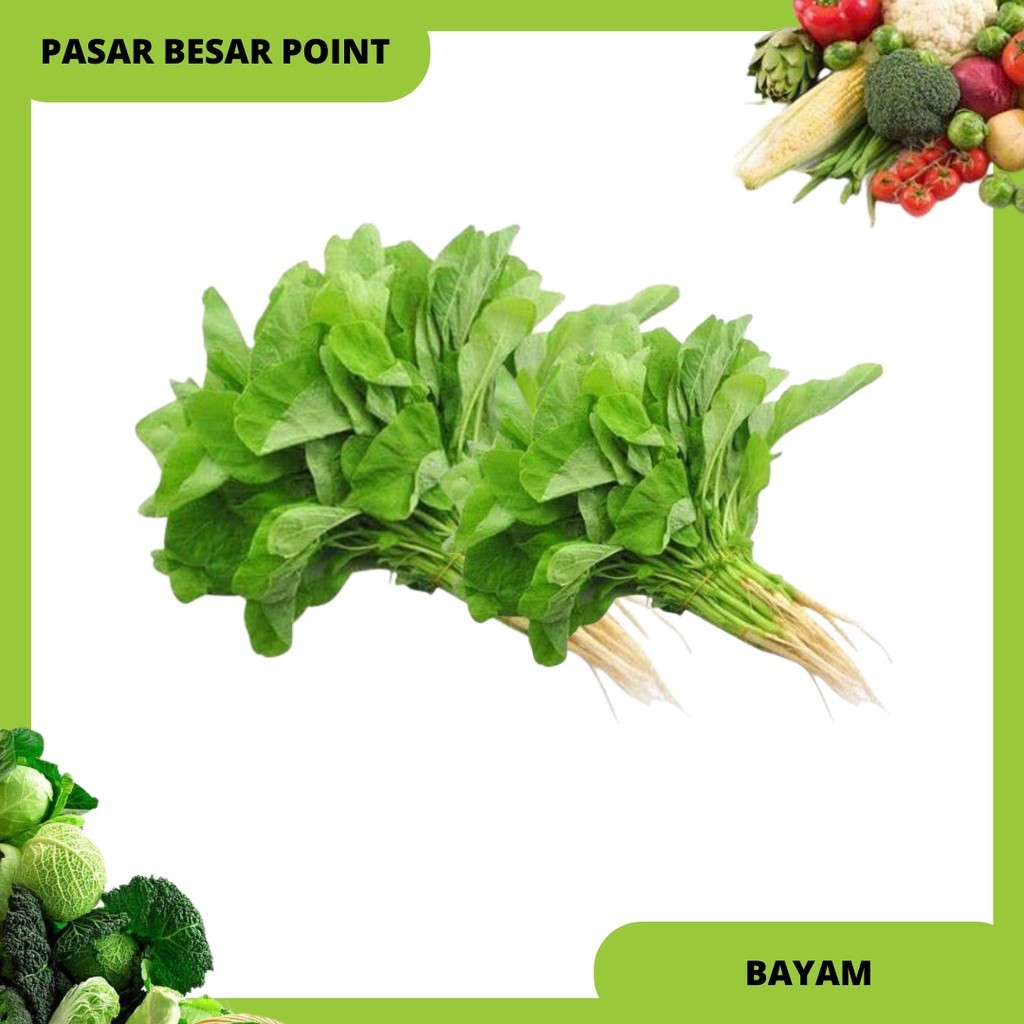 

sayur bayam
