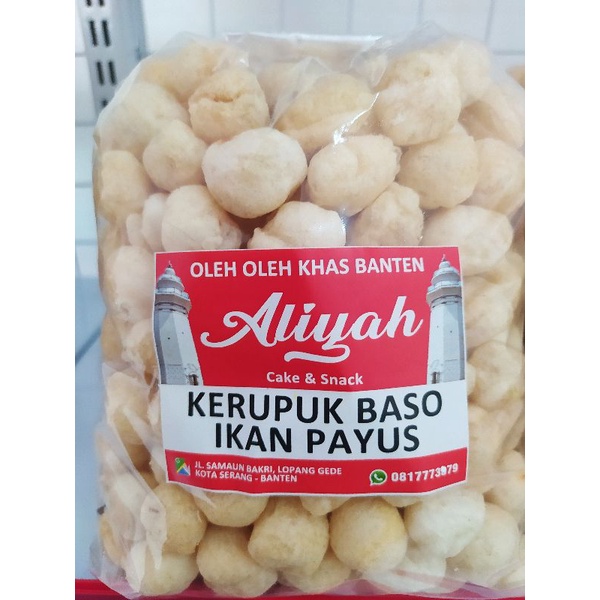 

Kerupuk Bakso Ikan Payus Asli 300gr