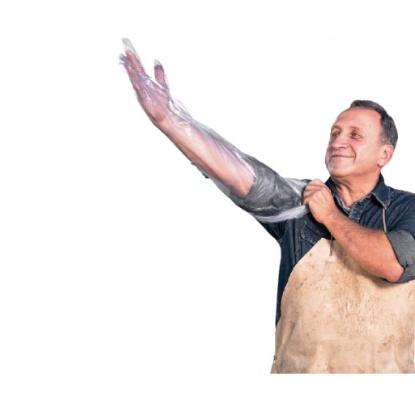 Plastik Glove Ib 5 Jari - Sarung Tangan Ib Plastik Palpasi Inseminasi Buatan Ternak Sapi Best Seller