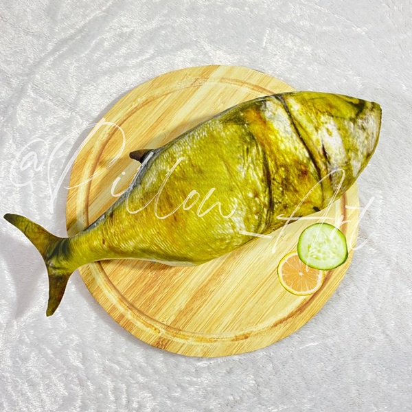 Pillowart - Bantal Boneka Ikan Asin Size L | Ikan Asin | Ikan Tuna | Ikan Kakap - ART043