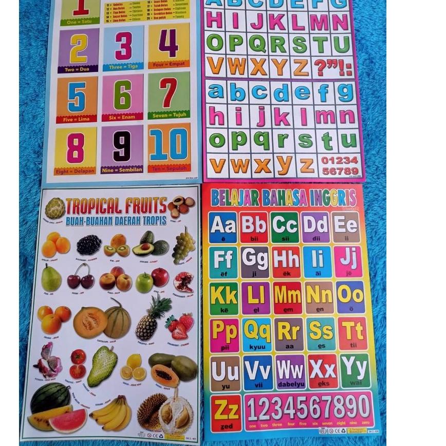 

<T-5T✓> POSTER EDUKASI ANAK PENDIDIKAN BELAJAR-ANAK-USIA-BALITA-BATITA-PAUD-TK-SD-MI-MUSLIM-ISLAM-ISLAMI-HURUF-HIJAIYAH-ANGKA-ALFABET-BERHITUNG--ABJAD-ANGKA-DINDING-BAHASA-ARAB-INDONESIA-INGGRIS-ASMAUL-HUSNA-SHOLAT-NABI-PERKALIAN-PEMBAGIAN top produk