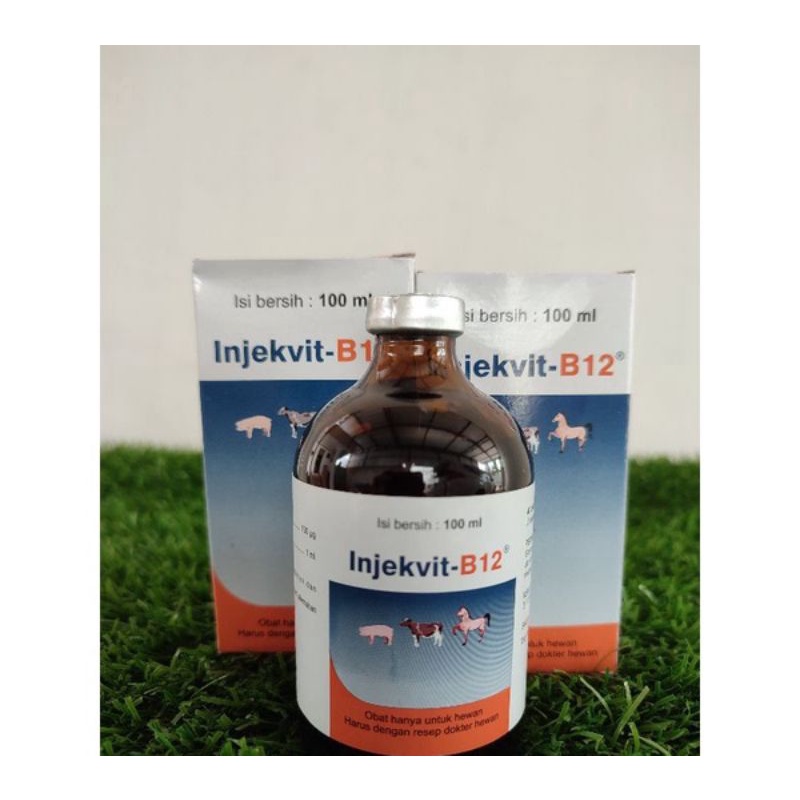 B12 INJEKSI // VITAMIN UNTUK HEWAN // 100 ML