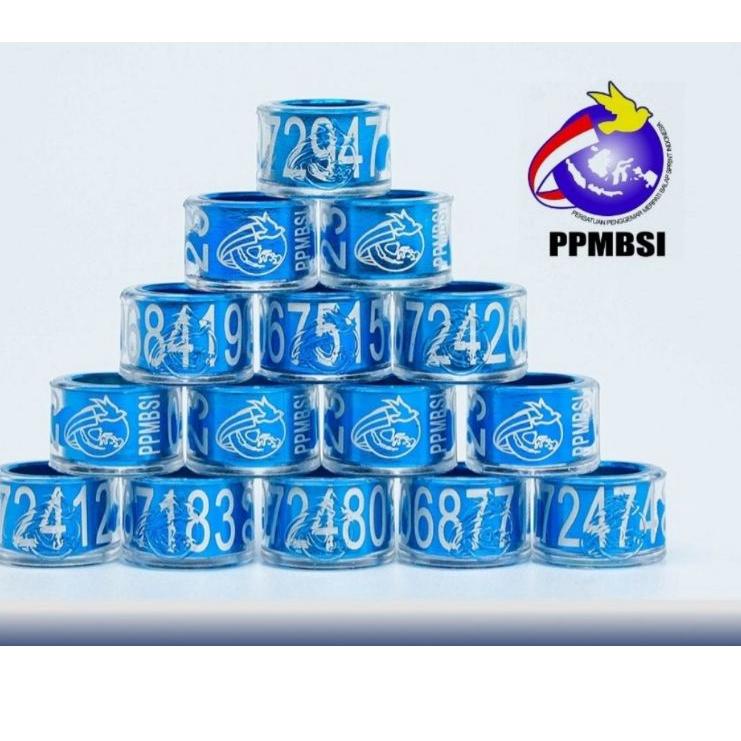 COD Ring Merpati PPMBSI 2023 ↛