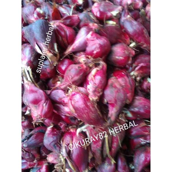 bawang dayak segar 1kg