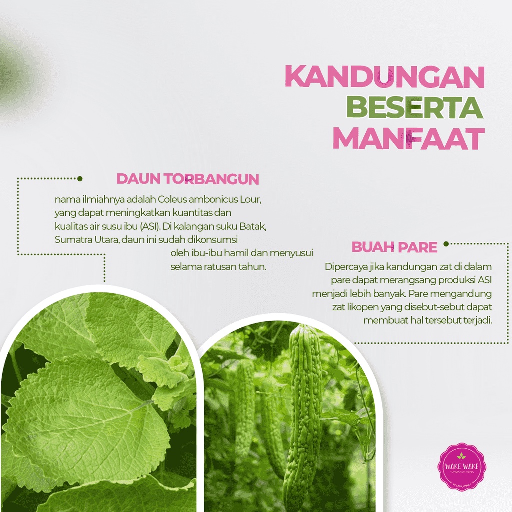 ASI Booster Torbangun - Wake Wake Pare - Botol 330 ML - Daun Bangun-bangun + Pare