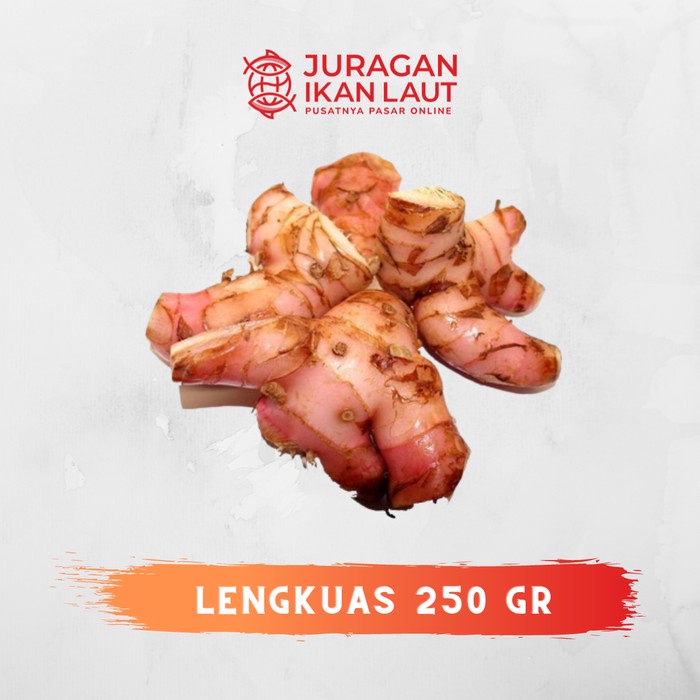 

Lengkuas Berkualitas - 250 Gram