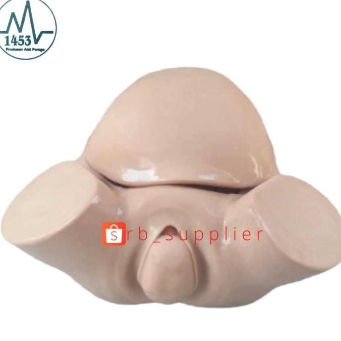 Manikin Panggul Melahirkan | Alat Peraga Phantom Manekin Torso Panggul