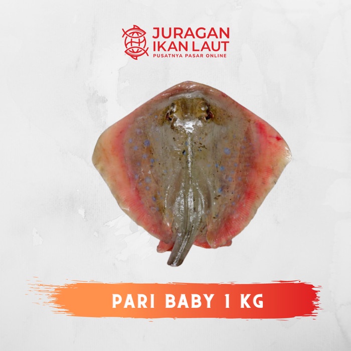 

Ikan Pari Baby Segar Berkualitas - 1 Kilogram