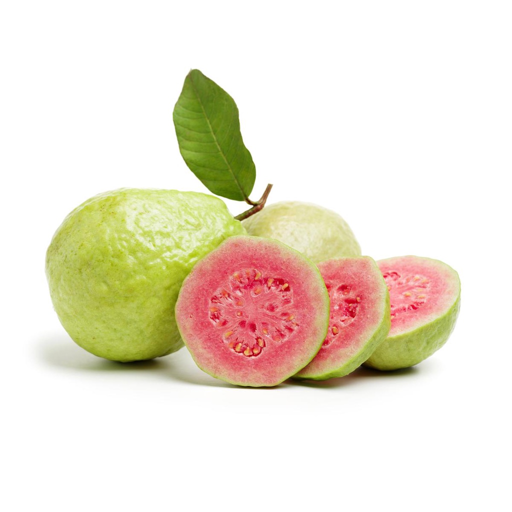 

HarvestMoon Jambu Biji Merah