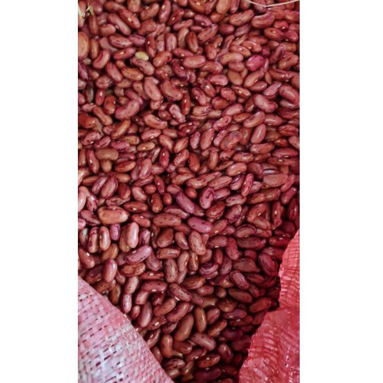 

[PRODUK RP0W8] Kacang Merah / Kacang Jogo 1 KG Ukuran Besar Premium Dijamin Fresh!!! TTC
