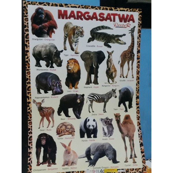 POSTER GAMBAR HEWAN MARGASATWA