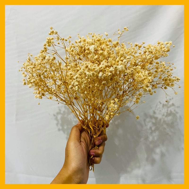 BUNGA BABY BREATH KERING