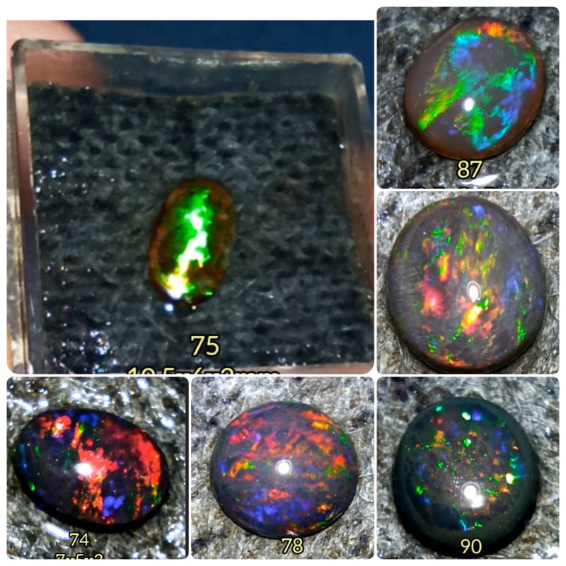 51-100 kalimaya asli original Banten milky.susu.teh.black Opal,kopi,solid,jarong kontes