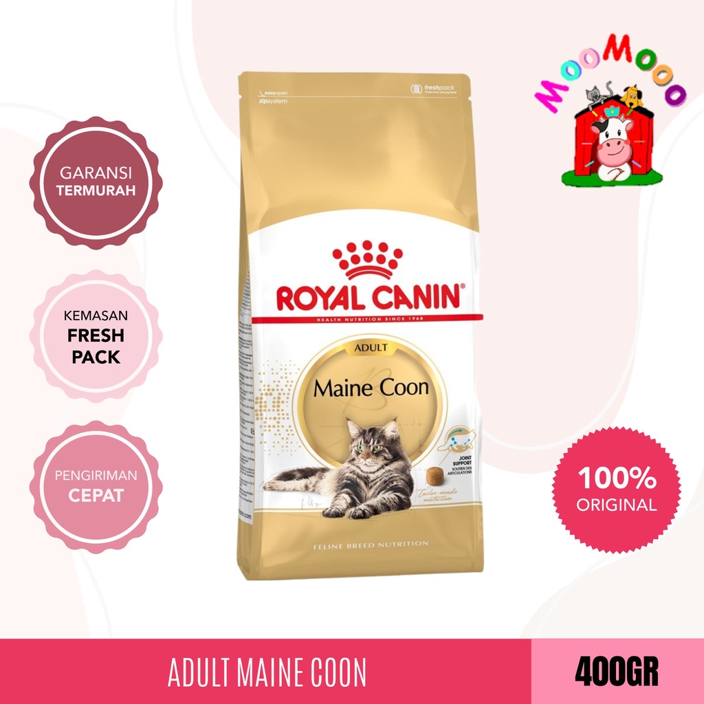 Royal Canin Maine Coon Adult 400Gr - Makanan Kucing Dewasa