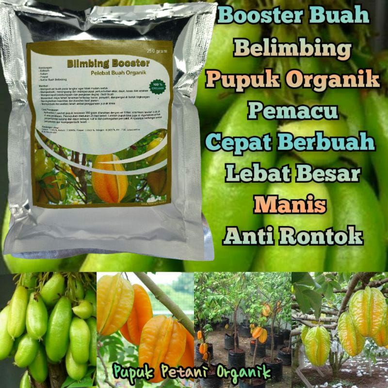 Pupuk Organik Pelebat Buah Dan Booster Belimbing Cepat Berbuah Lebat