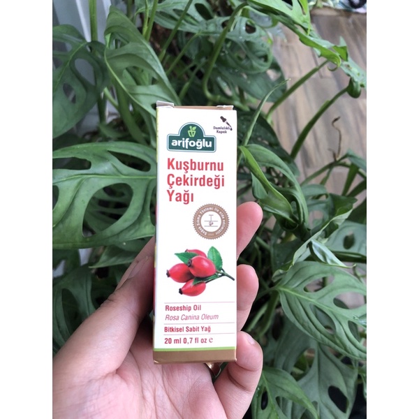 Arifoglu rosehip oil