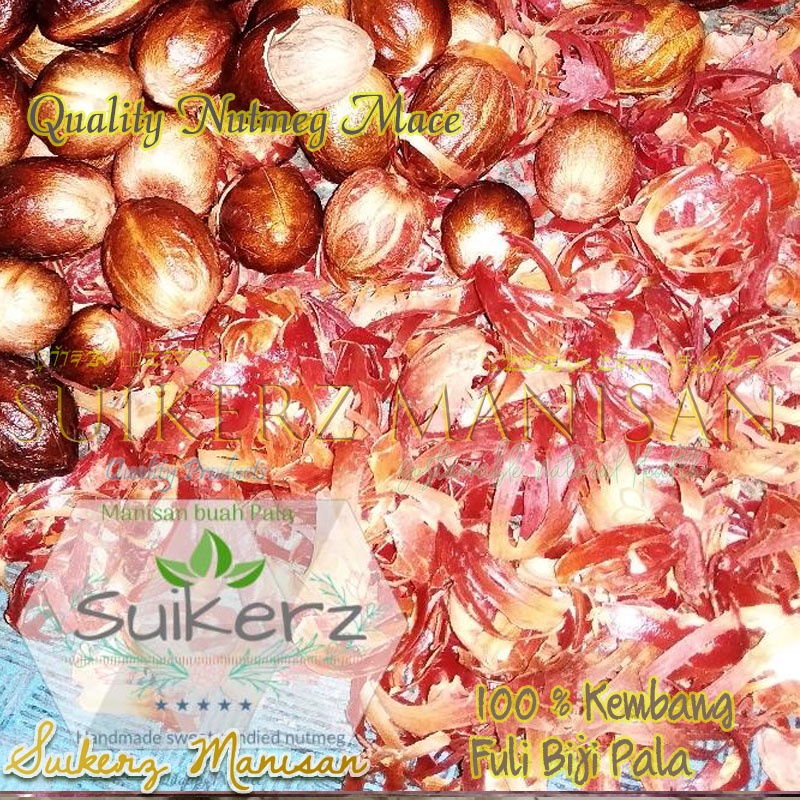 

biji pala super Premium kering 100% asli Murni rempah 100gr obat herbal bumbu dapur masak tradisional 100g original kualitas super
