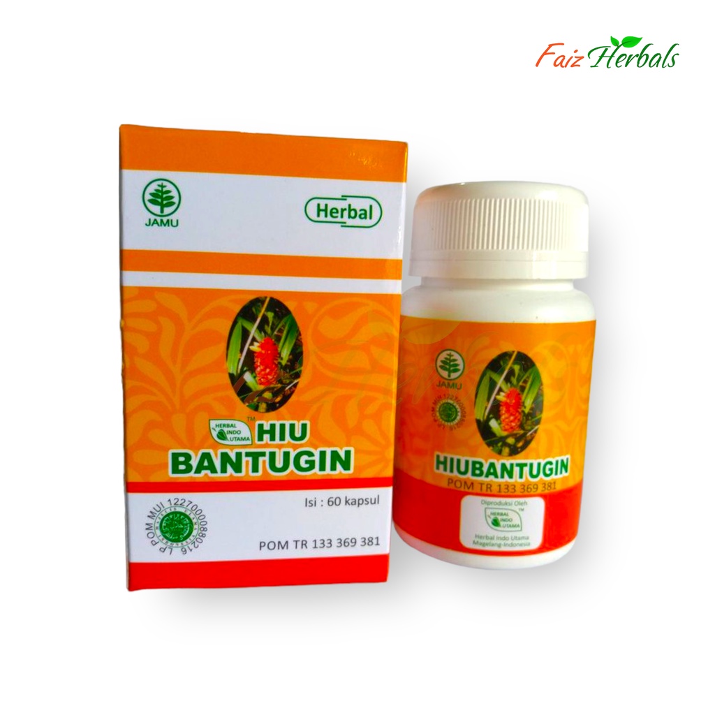 

HIU Bantugin | Obat Batu Ginjal | Membantu Mengatasi Batu Ginjal | Herbal Indo Utama