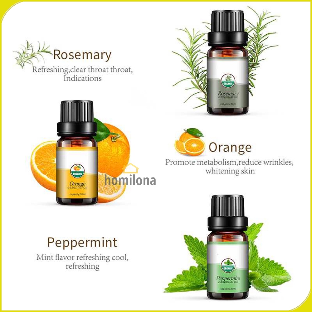 Pure Essential Fragrance Oils Minyak Aromatherapy Diffusers 10ml 6 PCS Taffware HUMI K-E7