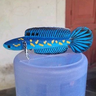 Patung Chana Pulchra 15cm