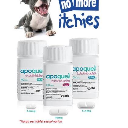 Terlaku. Apoquel mengatasi dan mengobati gatal pada anjing