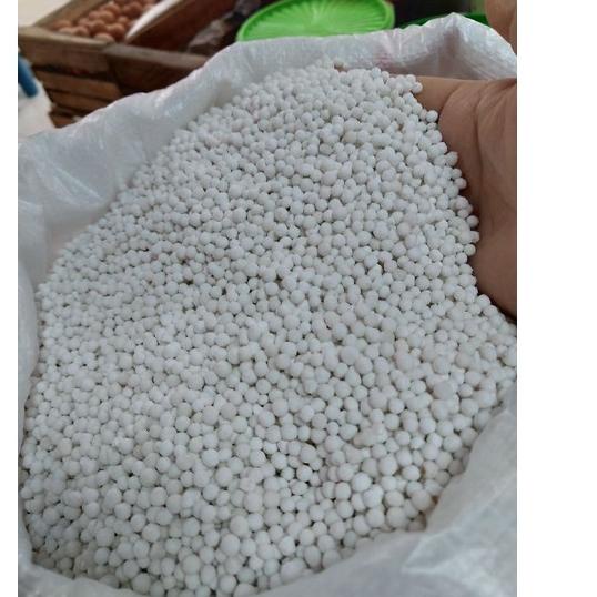 

➥Terbaru Sagu Mutiara Putih Super/ Biji Mutiara Putih Super 250 gr Kuy Ambil Promo