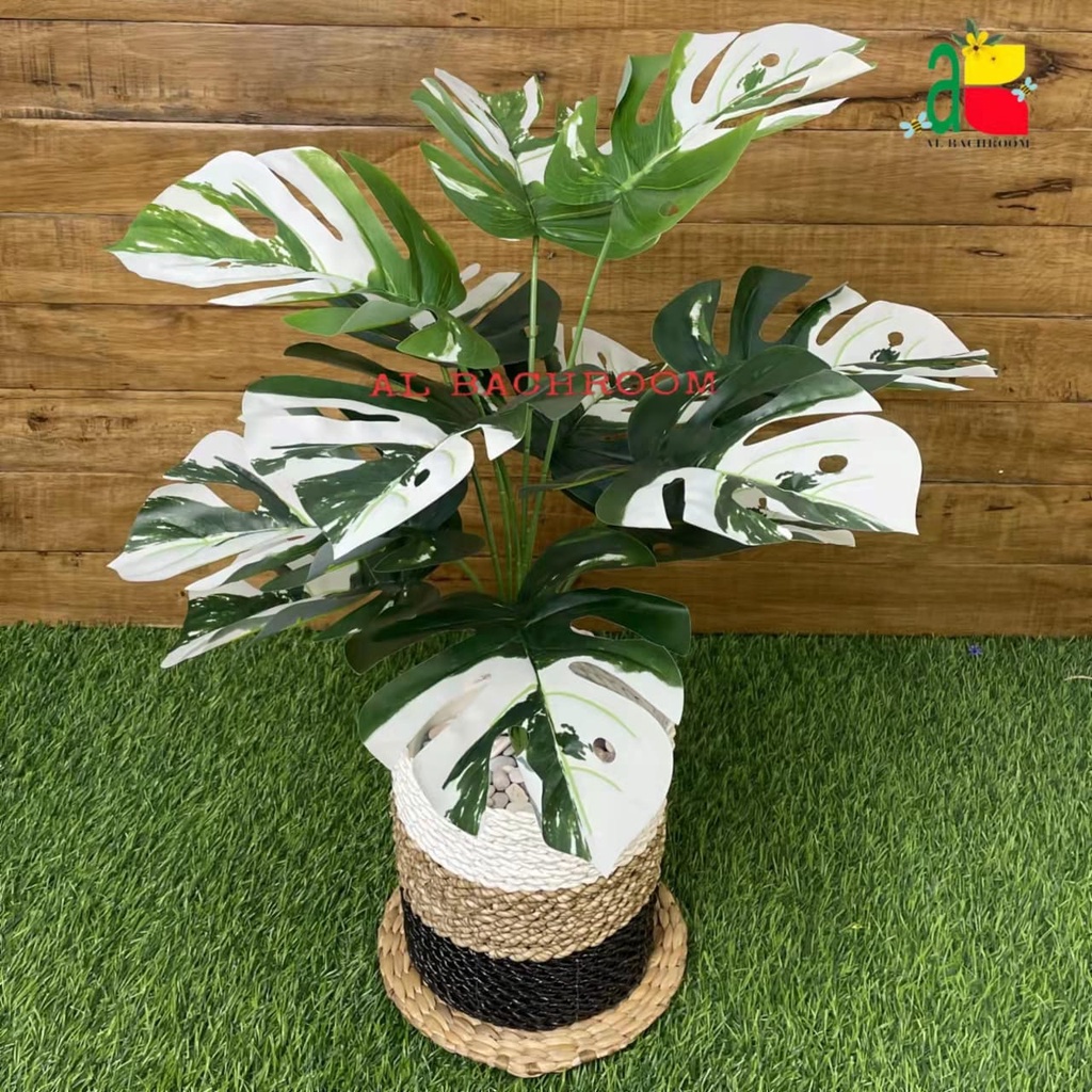 1 PAKET TANAMAN MONSTERA VARIEGATA DAUN PLASTIK DAN POT PIRUS 20CM DEKORASI POHON SUDUT RUMAH RB6028 DAUN MONSTERA JUMBO