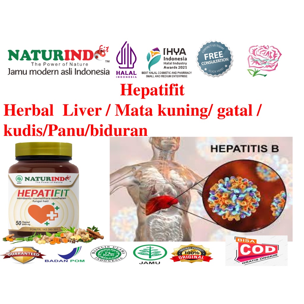 Obat herbal gatel gatel  Liver Batu Empedu obat gatal Alergi bersih darah Biduran Hepatitis Penyakit