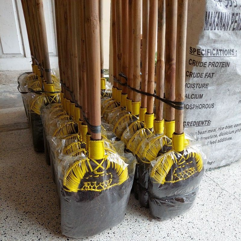 sapu ijuk rotan tempahan